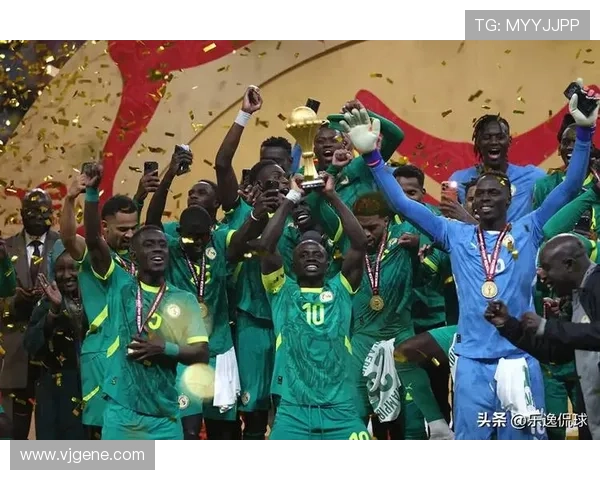 塞内加尔拒交奖杯现场沸腾 塞内加尔拒交奖杯现场沸腾